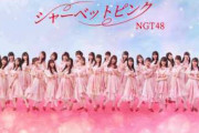 【悲報】NGT48の現在ｗｗｗｗｗｗｗ