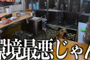 ユーチューバー「犬を虐待するペットショップに突撃してボコボコにしたるわ」 → 神回になるｗｗｗｗｗ