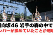 日向坂46岩手の森の中であのメンバー達が揉めていたのが判明……︎坂道白書コンテンツがすごい︎高本彩花帯コメ解禁！(日向坂情報)