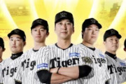 阪神タイガースの『交流戦スタメン打率』、想像以上だった