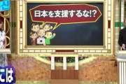 韓国人「日本は韓国を属国やタカリとして見ている」嫌韓を煽る日本の放送をご覧ください　韓国の反応