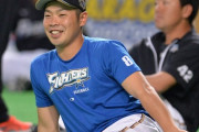 日刊スポーツ「日本ハムの顔は近藤！」