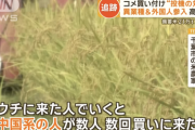 コメ農家「中国系の人が買いに来た。『あるだけ欲しい』と」 転売目的の異業種・外国人参入で高騰か