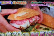 【画像】イタリアの900円のサンドウィッチがこちらｗｗｗｗ