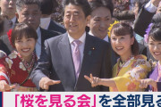 【朗報】安倍ちゃん、総理8年間でスキャンダルが桜を見る会くらいしかない