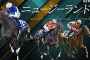第68回 サンケイスポーツ杯阪神牝馬ステークス(GⅡ).第43回 ニュージーランドトロフィー(GⅡ)
