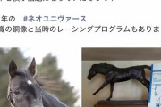 【ウマ娘】社台ファームさん、ネオユニヴァースのウマ娘化にウキウキしてしまう