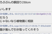 孫「祖母が育てました」「こんなもん見たことない、売買すれば100万行くぞ！」植物民ザワつくｗｗ