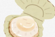 【急募】貝類で1番美味い貝wwwwwwwwwwwwwwwwwwwwwwwwwww