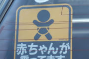 「赤ちゃんが乗っています」←これ、マジで何目的？