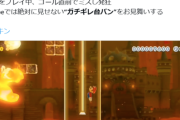 【悲報】ヒカキン、マリオでミスってブチギレ発狂ｗｗｗｗ