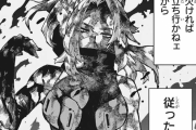 【ネタバレ注意】僕のヒーローアカデミア 314話「麗しきレディ・ナガン」【ジャンプ26号2ch感想まとめ】
