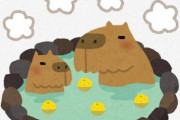 【石川】あったかぽかぽか　カピバラさんに「ゆず湯」をプレゼント 石川 能美