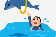 40代のオッサンなのに、水族館でイルカショー見てたら号泣していた・・・