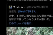 【終国】Twitter民「迷彩服で不法侵入した撮り鉄のせいで緊急停車！」撮り鉄「調子乗んな消せ消せ消せ消せ」