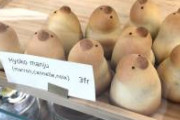 スイスにあるひよこ饅頭、偽物すぎて愛おしい