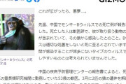 中国で『モンキー・B・ウイルス』が発見