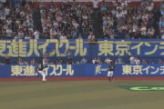中日ファンやけどテラス(ラグーン)って実際どうなん？SB・ロッテファン教えて