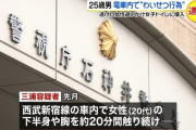 【東京】「腰を押しつけられ誘っていると思った」電車で女性の下半身や胸を20分間触り続け、追いかけてトイレ侵入　25歳の男逮捕