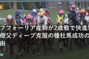 エフフォーリア産駒が2歳戦で快進撃！母父ディープ克服の種牡馬成功の理由