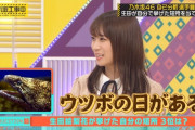 秋元真夏「生田絵梨花はウツボの日がある」※gifあり【乃木坂46】