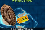三葉虫「進化速くて適応しまくりです、あらゆる海にいます」→絶滅した理由