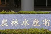 【悲報】自民党農林族、農水省の来年度主要事項から「米の増産」を削除させるwwwwwwwwwww