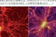 【神秘】やはり「脳と宇宙の構造」は酷似している…ネットワーク力学の原理によって形成されている可能性