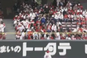 【超画像】ベイスターズ女子、うっかり広島ファンエリアで観戦してしまう