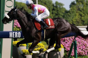 神戸新聞杯2着ジューンテイク屈腱炎で菊花賞回避