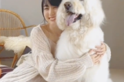 【動画】太もも美脚とデコルテがあらわに…賀喜遥香『WHITE graph』わんちゃんと戯れるオフムービーがセクシーすぎる【乃木坂46】