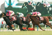 【訃報】ツルマルツヨシ号　逝去　31歳