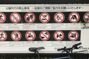 外国人「日本の代々木公園で禁止されてることが多すぎる(笑)」