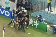 【画像】W杯のピッチに裸で乱入したサポ、この後どうなるんやろ
