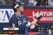 山野辺翔さん、ドングリの外野争いに殴り込み！