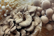 キノコは洗う？洗わない？