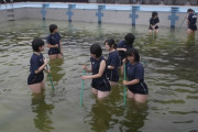 【画像】めっちゃ汚いプールを清掃する女子部員たち