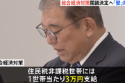 日本政府､総合経済対策を閣議決定 物価高対策で3万円支給を決定！