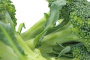 【警告】ブロッコリー、食べすぎると臭くなると判明