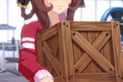 【ウマ娘】※ 箱の中身はトレーナーです