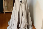 【悲報】犬、ハロウィン仮装が適当すぎる