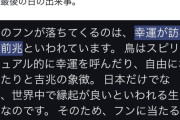 【朗報】22歳最後の日の山内瑞葵さんにとんでもない幸ウンがやってくるｗｗｗｗ