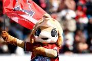 いわきFCの新マスコットの名前は「ハーマー＆ドリー」！きょうホーム戦で発表