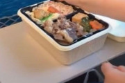 外国人旅行者「新幹線ではこんな弁当を食べながら富士山を満喫できる…」海外の反応