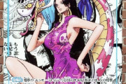 【悲報】ボア・ハンコックさん、ワンピ新弾のレアカードの買取価格が25万になる【ワンピース】