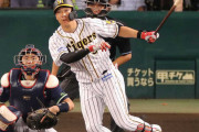 阪神の最多本塁打選手が大山(13本)←これｗｗｗ