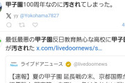 普通の日本人「甲子園が汚された。今後100年かけても拭いきれない穢れだ。」