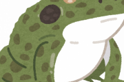 ウシガエルが日本の食卓に広まらなかった理由ｗｗｗｗｗｗｗｗｗｗｗｗｗ