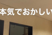 【画像】神戸大学バドミントンサークルさん、旅館をめちゃくちゃに荒らし晒される