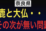 関有美子ちゃんと田村と何が違うんだよ！！！